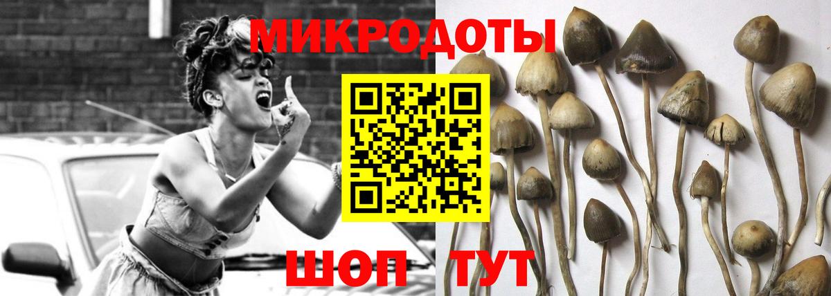 Псилоцибиновые грибы GOLDEN TEACHER Кингисепп